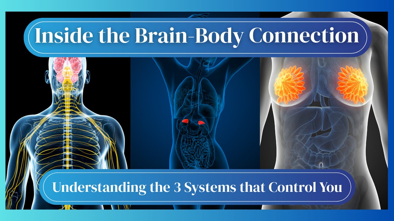 ✨Do You Know the 3 Systems that Control Everything You Do?