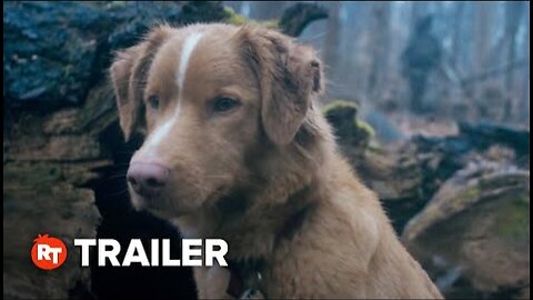 Good Boy Exclusive Trailer (2025)