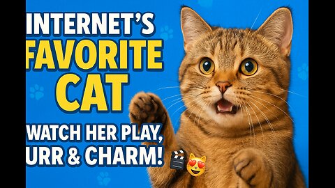 The Most Adorable Cat Ever — Watch Her Melt Hearts! 💖🐾