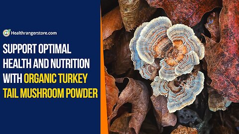 Support optimal health and nutrition with Organic Turkey Tail Mushroom Powder