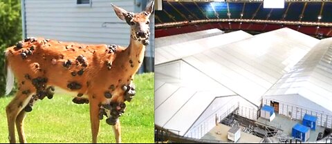 HUGE 7.5 QUAKE! MUTANT DEER & ZOMBIE SQUIRRELS SPREADING-UK PREPARING FOR SOMETHING BIG?