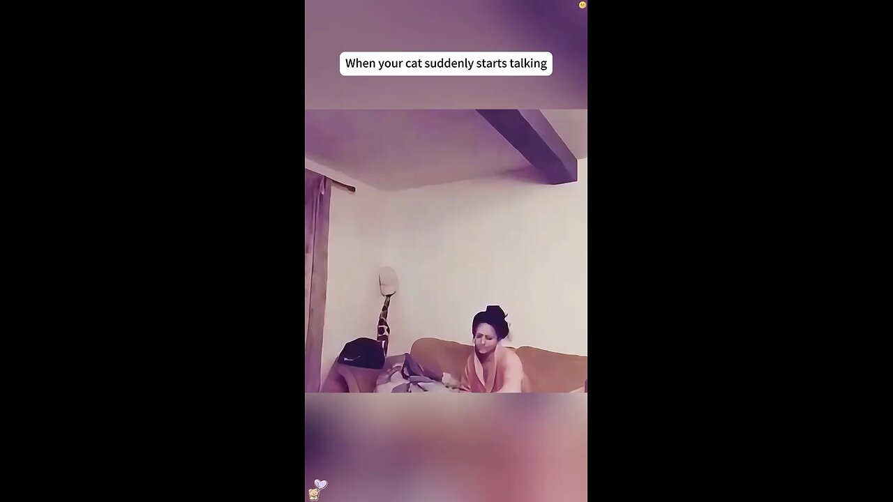 Animal real Talk