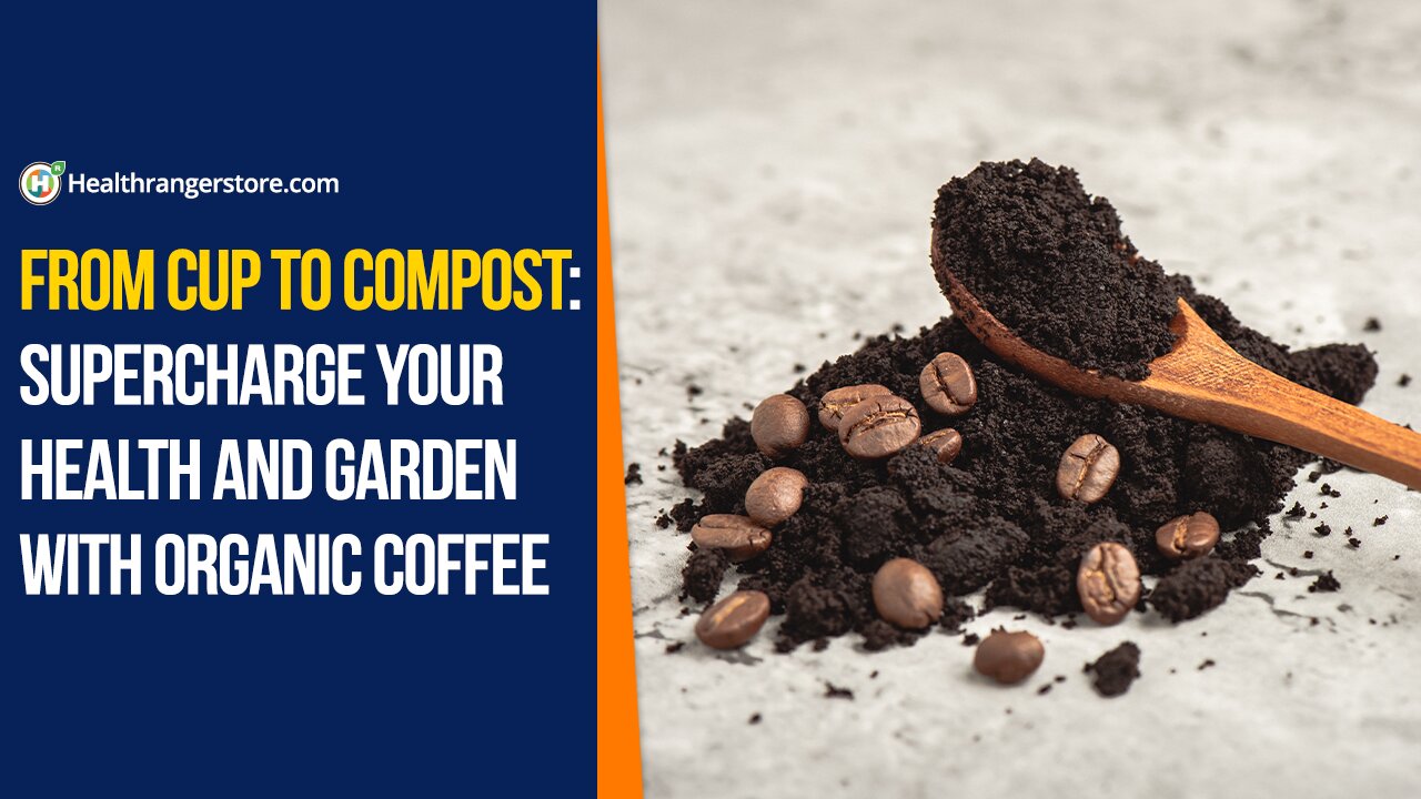 From cup to compost: Supercharge your health and garden with Organic Coffee
