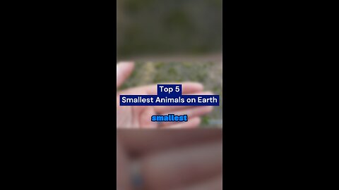 The Smallest Animals on Earth