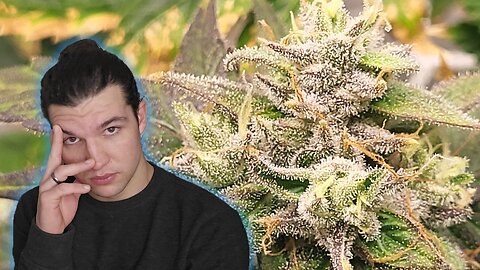 Harvesting Tips after 5 Years of Growing
