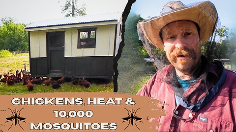 Why We Move Chickens (Even When It’s Miserable!)