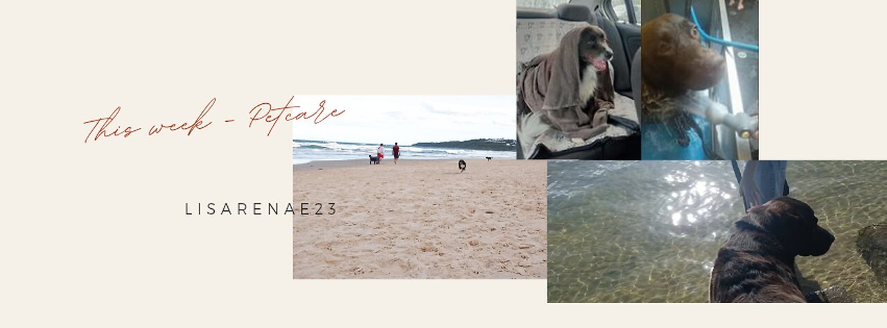 This Week's - Petcare (Sunshine Coast)