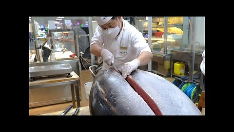 209kg Giant Tuna Cutting Show