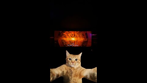 Crazy BILLU