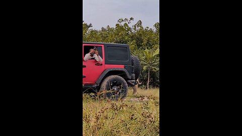 wildlife adventure funny