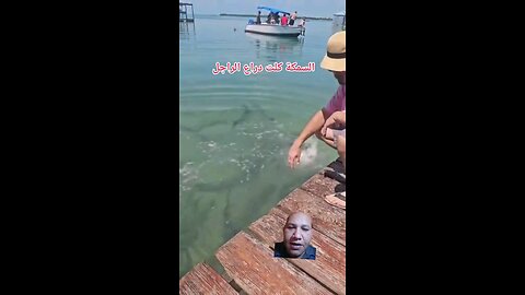 السمكة كلت دراع الراجل