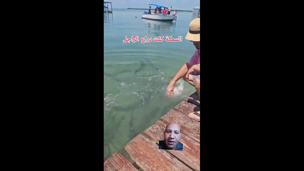 السمكة كلت دراع الراجل