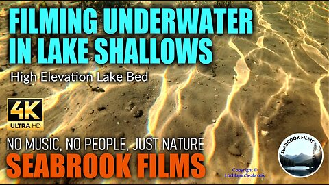 Filming Underwater in Lake Shallows: High Elevation Lake Bed