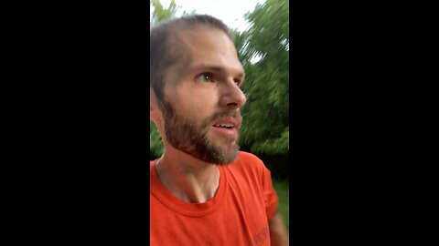Day 12 of training for a 50 mile ultra