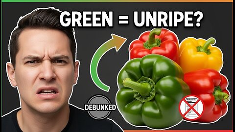 The Truth About Green Bell Peppers: Unripe Fruit, Bitter Taste, & Nutrition Facts Debunked