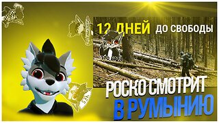 🐺 Роско смотрит Yar Life - Побег из Украины: Как мы шли 12 ДНЕЙ через горы, чтобы НЕ ПОПАСТЬ в ТЦК?