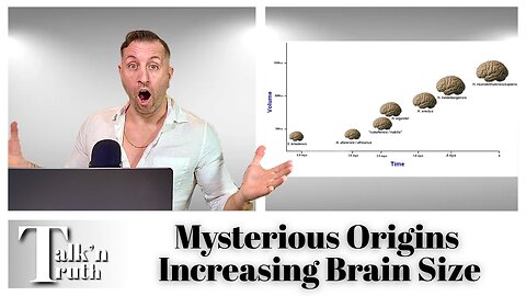 Mysterious Origins - Evolution of Hominid Brain Size