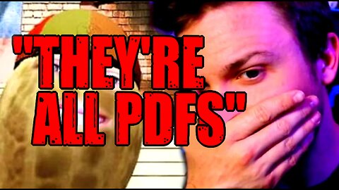 TheBurntPeanut Goes AFTER Vtuber Community