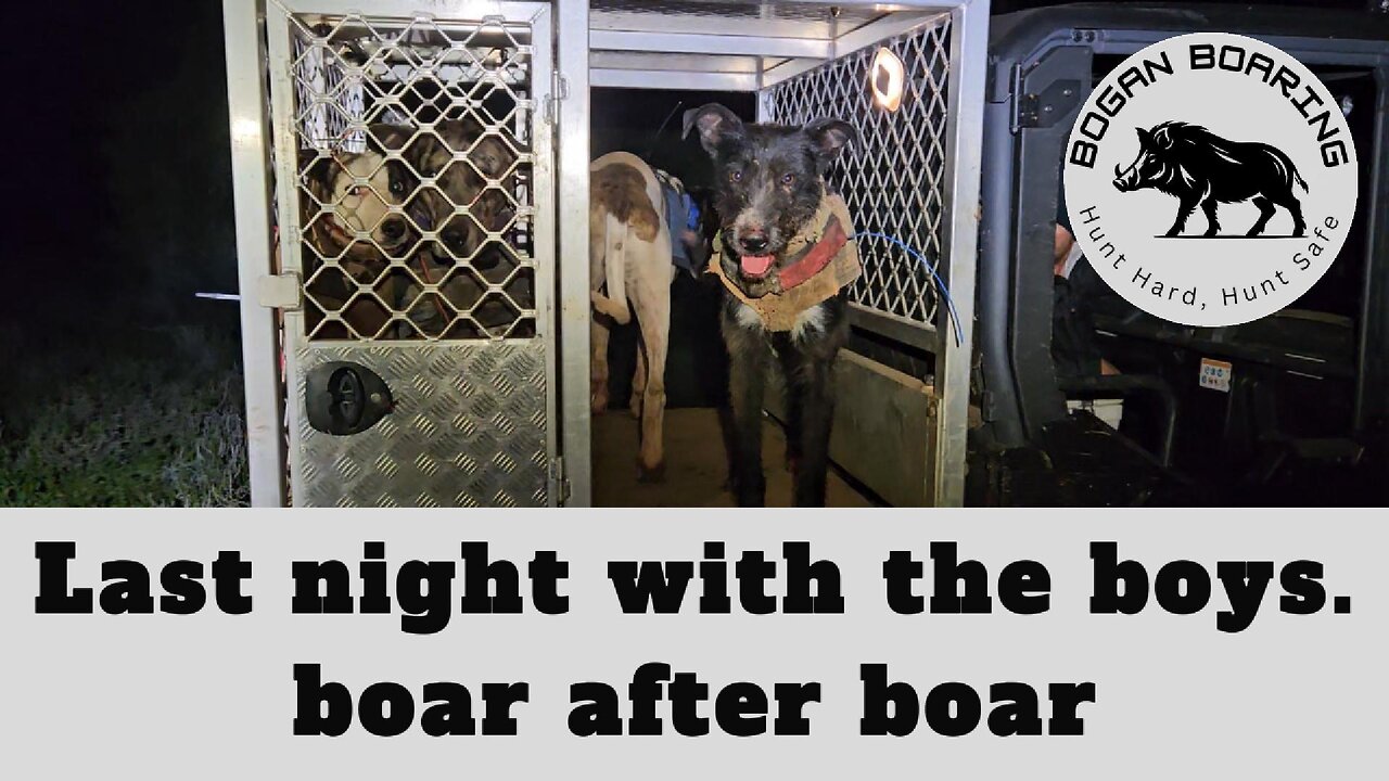 Last night with the boys. Boar after boar