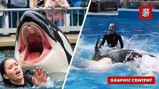 Was Orca trainer Jessica Radcliffe really killed by a killer whale? The truth about the viral story