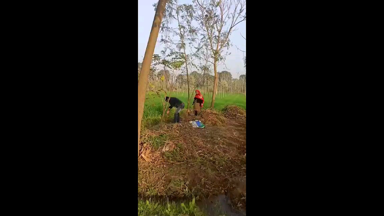 satisfying Video