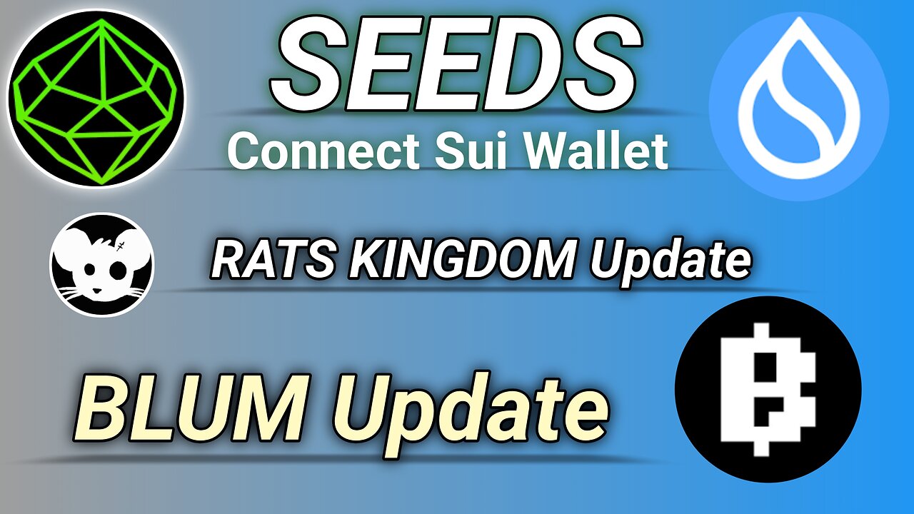 Seed Airdrop Connect Sui Wallet | Rats Kingdom Update | BLUM review | SM NIZ