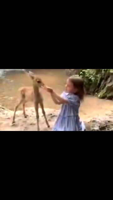 FREE TO ENJOY GOD - DAILY DEVOTIONAL ❤️