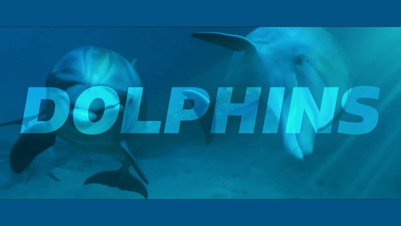 Bliss Retreats with Nancy Kerner