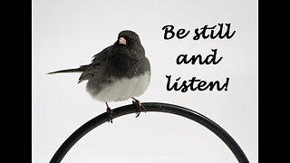 Listen To His Voice