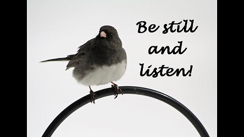 Listen To His Voice