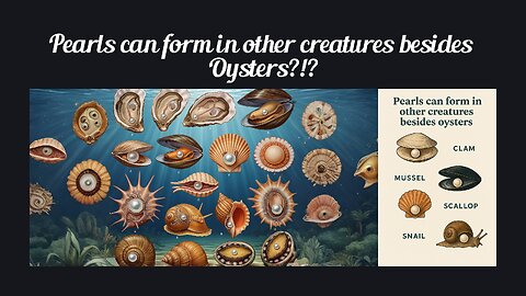 Fun Fact for July 30th 2025 Pt 1
