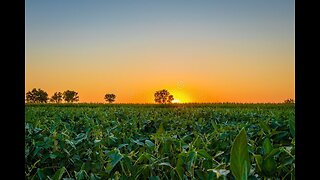Sunrise Over the Hills of Serbia | Peaceful Morning in the Balkans