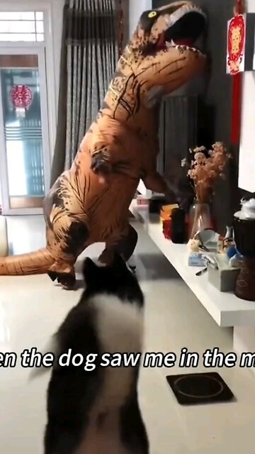 Different liquids on a hot spoon... watch what happens!