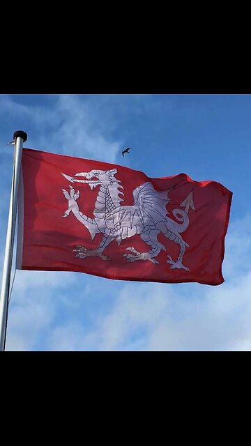 Tez-Truth-Dog Talks to the NHS SS KILLERS