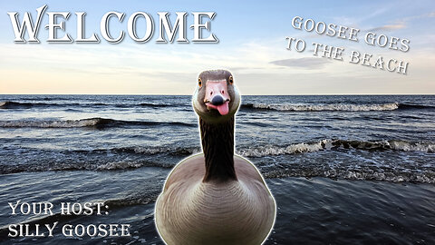 The Silly Goosee Sunday Hangout - Goosee Goes To The Beach!