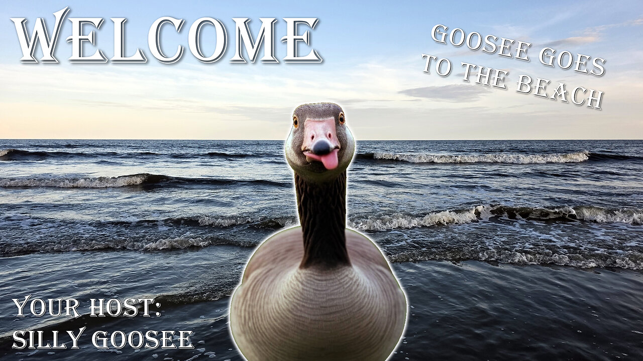 The Silly Goosee Sunday Hangout - Goosee Goes To The Beach!