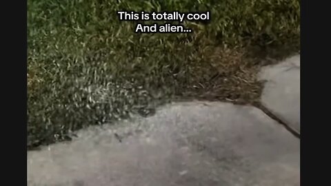 They're Not Human 2026