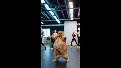 Dancing Cat| Cute Cat