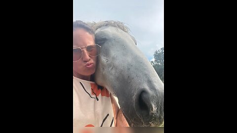I run a farm full of divas, drama, and donkey side-eyes.