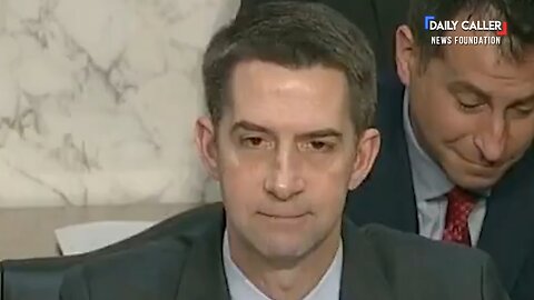 Sen. Tom Cotton: 'So That Protester Was A Code Pink Lunatic...'