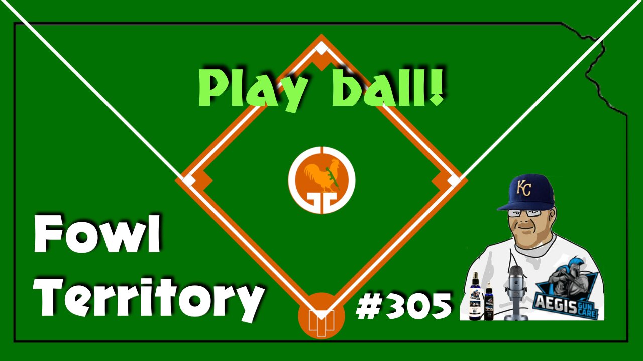Fowl Territory #305 - Play ball!