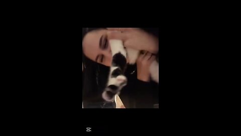 When Cats Forget They’re Cats