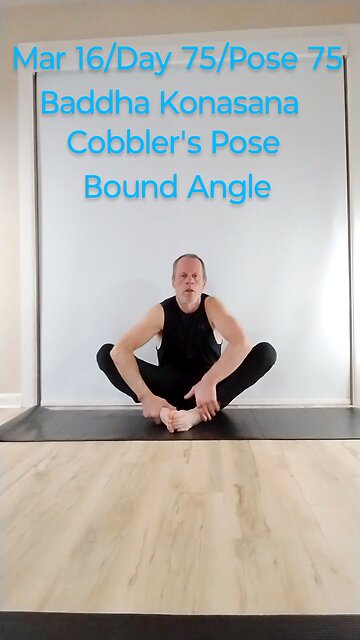 Baddha Konasana / Cobbler Pose / Bound Angle
