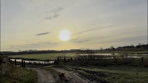 07/12/25 trail run with willow