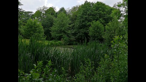 2024 Belgium: Stadspark in Tielt