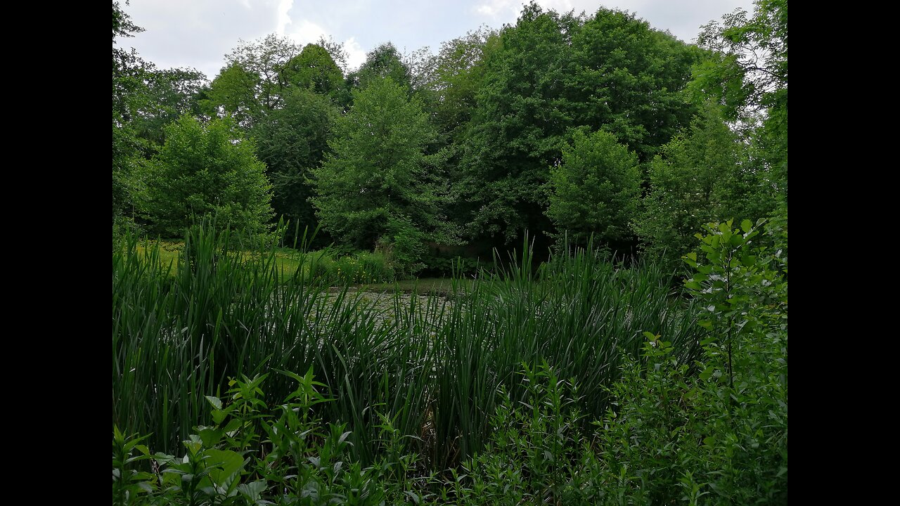2024 Belgium: Stadspark in Tielt