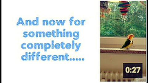 "Presenting Something Completely Different..."