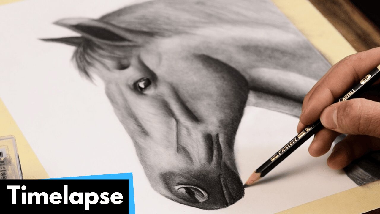 HORSE DRAWING TIMELAPSE | ATLArtStudio