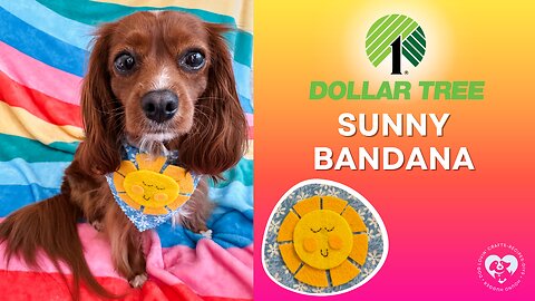 Dollar Tree DIY: Make This Sunny Dog Bandana With Us!