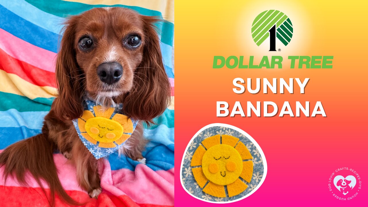 Dollar Tree DIY: Make This Sunny Dog Bandana With Us!